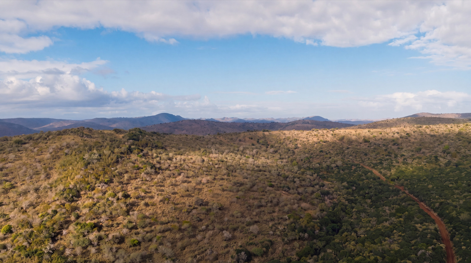 The Zululand bush of a Big Five reserve